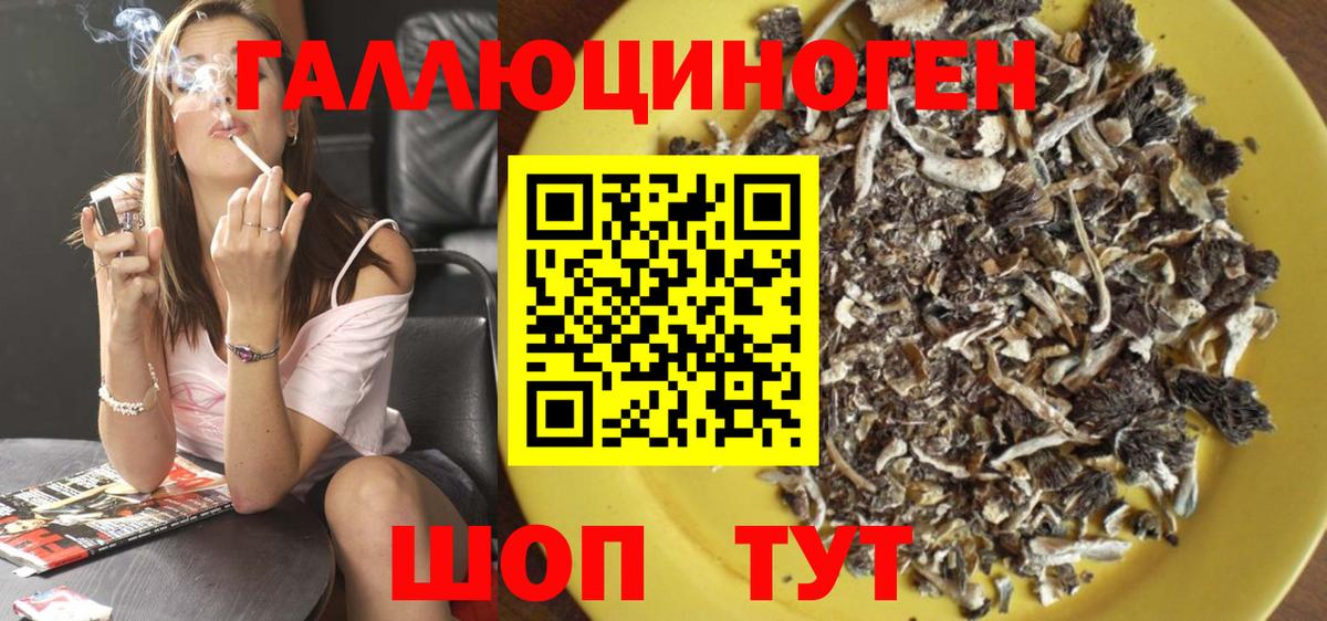 как найти закладки  Вход с VPN  Ижевск  Галлюциногенные грибы Psilocybe 