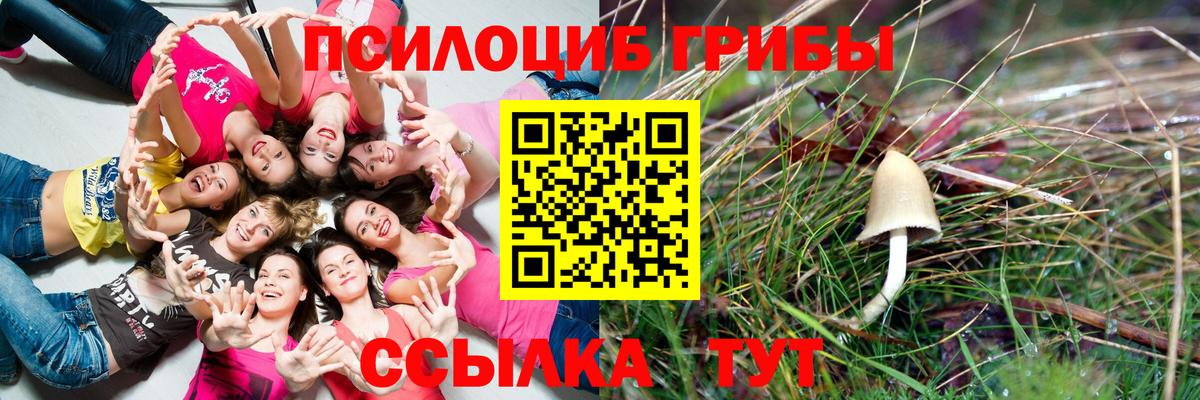 Галлюциногенные грибы мицелий Ижевск